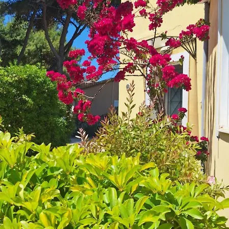Ionian Sunset Inn